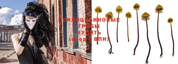 mix Богородск