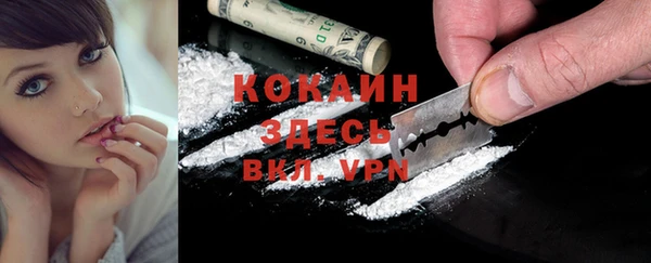 2c-b Богородицк