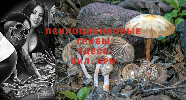 2c-b Богородицк