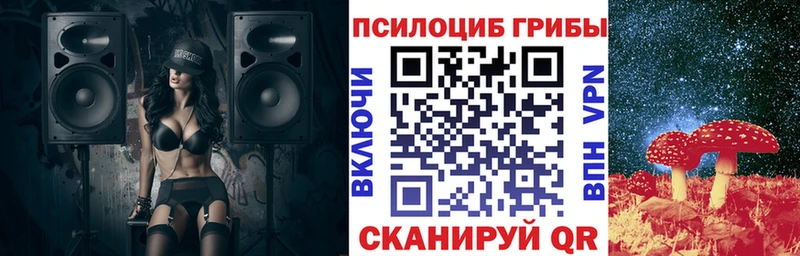 Псилоцибиновые грибы Psilocybe  Купить где  Павлово 